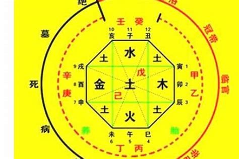 乙卯月 五行|生辰八字算命、五行喜用神查询（免费测算）